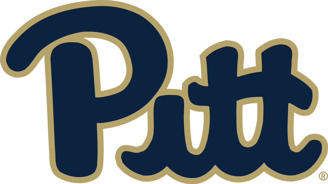 Pittsburgh Panthers 2016-2018 Primary Logo diy DTF decal sticker